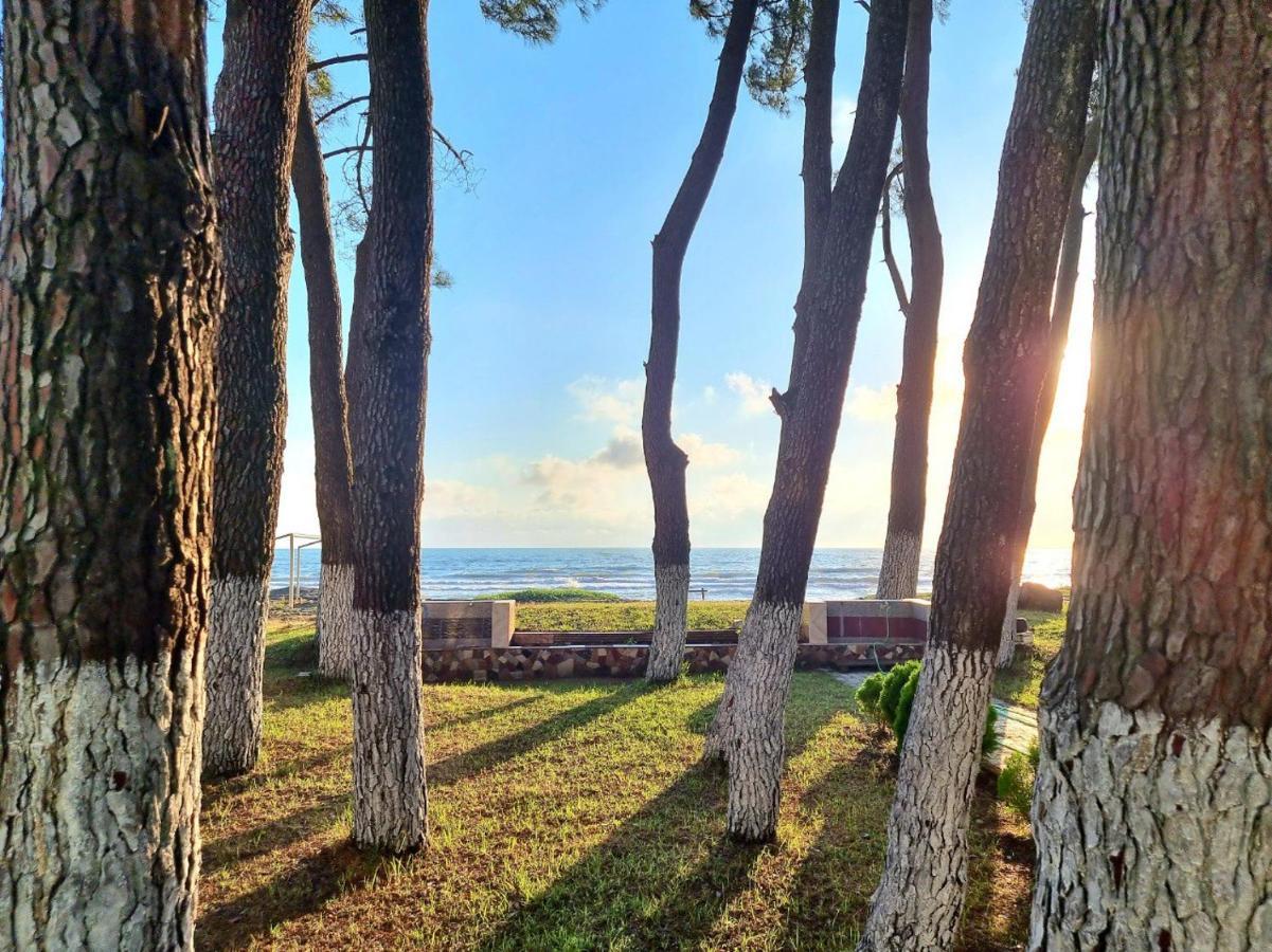 Evrika Hotel Shekvetili Bagian luar foto